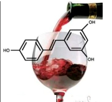 健康替代品:白藜芦醇可取代红酒中的so2