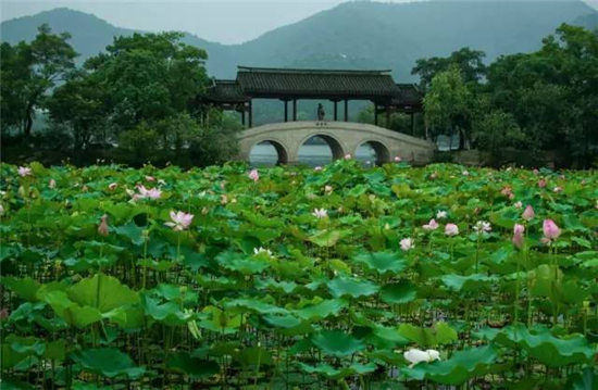 除了參觀跨湖橋遺址博物館,游湘湖最好的方式就是乘船游蕩,這里遠離杭州城區,顯得更加安靜悠然;這里不是西湖,四季卻同樣有著不同的風韻:春天在百花盛開之際踏青,夏日在蟬鳴幽幽下賞荷花,或是等傍晚欣賞華燈初上的美景和湘湖特色的水景秀,秋天里賞秋葉的靜美或是登城山享重陽之樂;冬日踏雪尋梅,記錄下雪中靚影。 下孫文化村 -吳越文化的保留地
