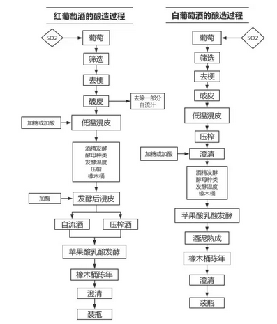 史上最详最全勃艮第葡萄酒酿造流程