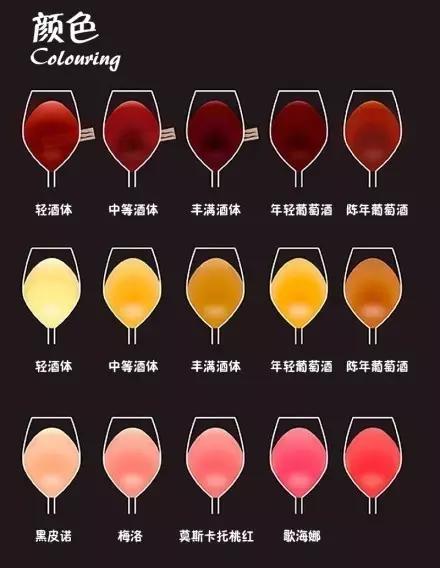 学葡萄酒知识,从这10张图开始就对了