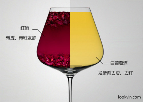 除了颜色与品种,告诉您红白葡萄酒的真正区别