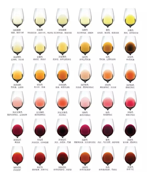 葡萄酒究竟有几种颜色?