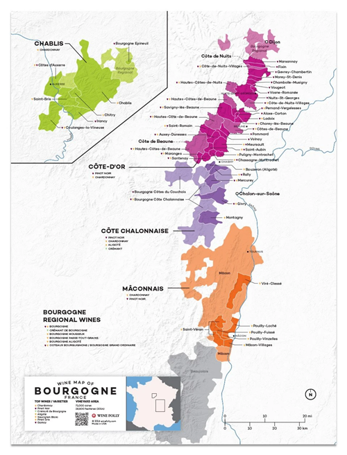 勃艮第产区地图-wine map of bourgogne