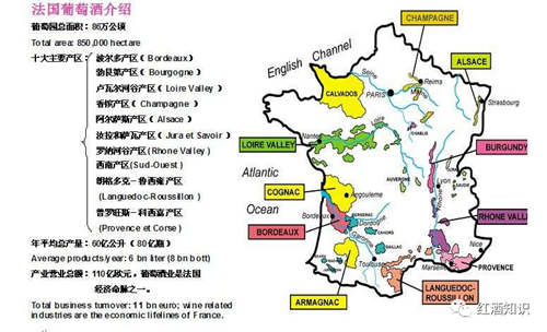 最流行的法国酒区分布