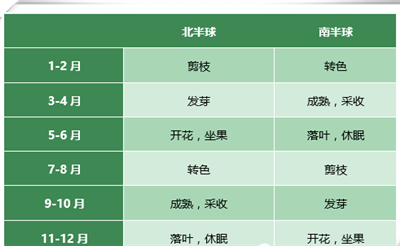 南北半球葡萄树生长过程全对比