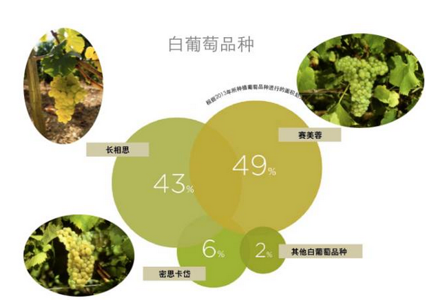 判別假波爾多酒的一個小竅門