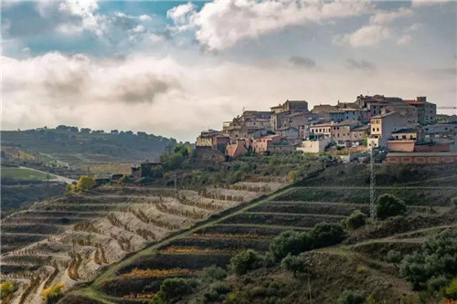 priorat产区