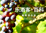 黑皮诺，那么多的产区你知道怎么选？